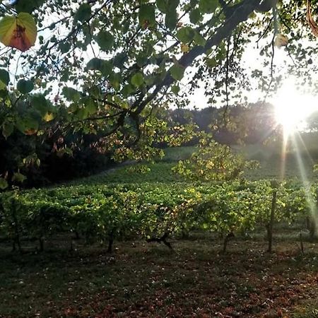 Château Régaldo-Saint Blancard Salleboeuf Esterno foto