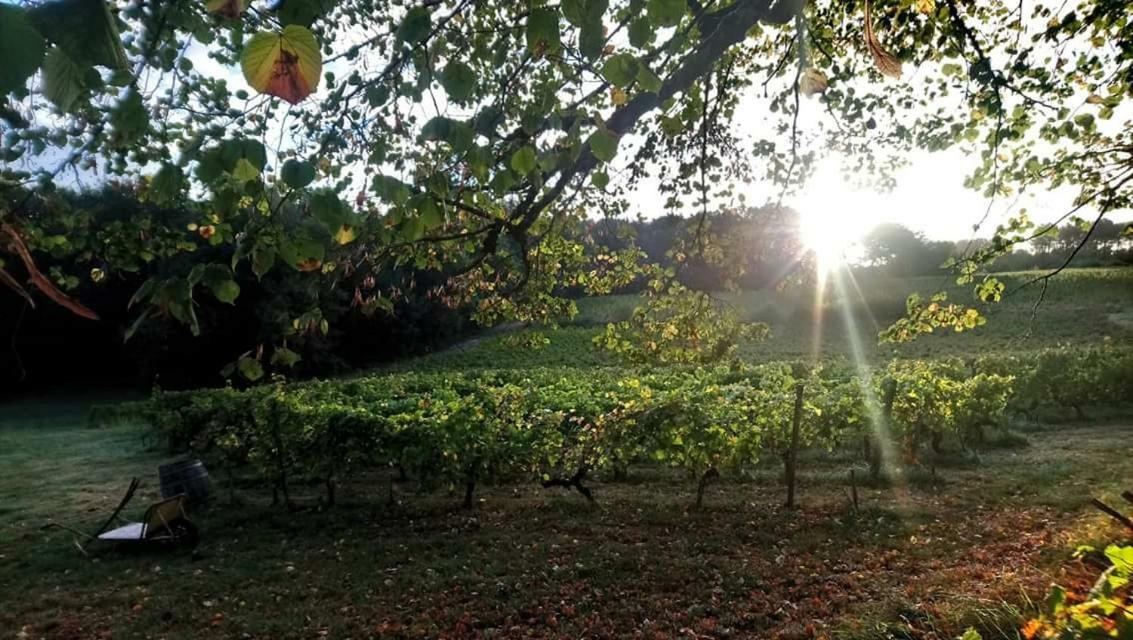 Château Régaldo-Saint Blancard Salleboeuf Esterno foto