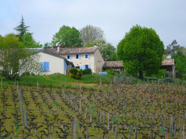 Château Régaldo-Saint Blancard Salleboeuf Esterno foto